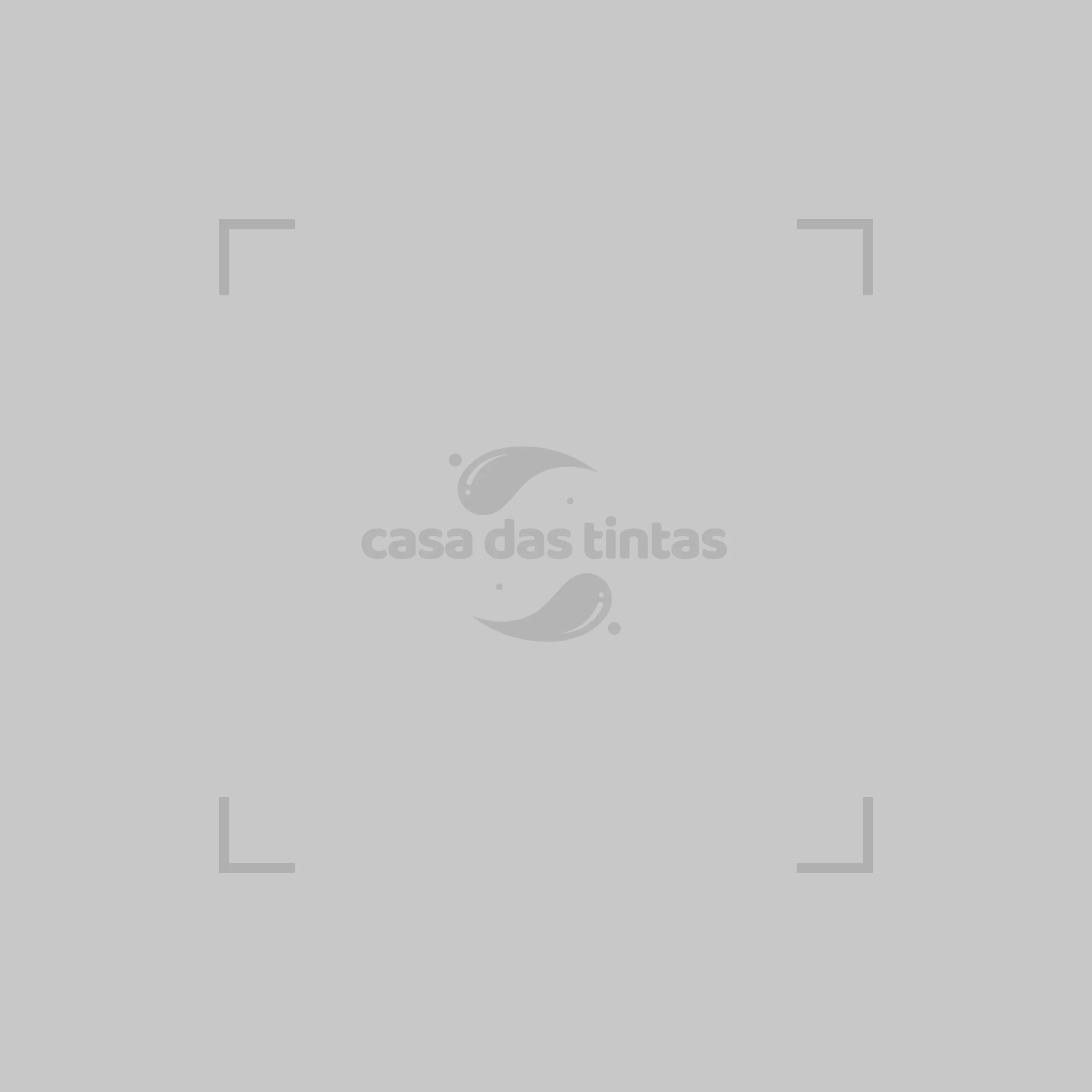 Pintor profissional